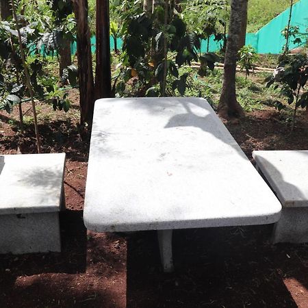 Pine Villa Garden Yercaud Bagian luar foto